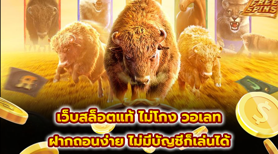 เว็บสล็อตแท้ ไม่โกง